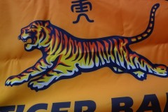 13.10.2012 - Tiger Event