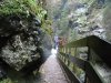 gilfenklamm37