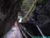 gilfenklamm49