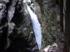 gilfenklamm26