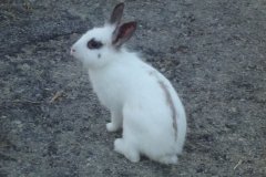 08.08.2013 - Marbella