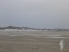 Borkum -21