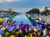 Peschiera026