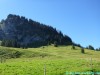 allgaeu-panorama-marathon108