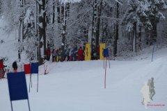 01.02.2015 - Kreisskitag WFC Neukirchen