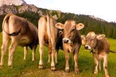 03.-05.07.2015 - Coburger Hütte