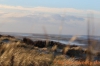 borkum-22