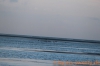 borkum-44