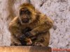 Gibraltar 054