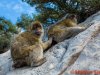 Gibraltar 055