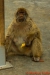 Gibraltar 053