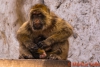 Gibraltar 054