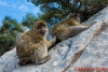 Gibraltar 055