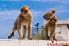 Gibraltar 083