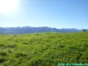allgaeu-panorama-marathon039