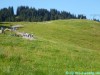 allgaeu-panorama-marathon042