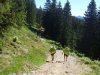 allgaeu-panorama-marathon091