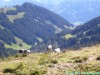 allgaeu-panorama-marathon098