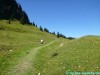 allgaeu-panorama-marathon110