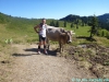 allgaeu-panorama-marathon095