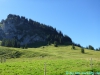 allgaeu-panorama-marathon108