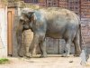 Zoo-Leipzig-049
