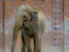 Zoo-Leipzig-051