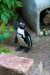 Zoo-Leipzig-003