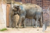Zoo-Leipzig-049