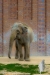Zoo-Leipzig-051