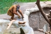 Zoo-Leipzig-067
