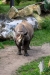 Zoo-Leipzig-092