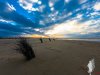 Borkum-GoPro-019