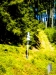 Wanderung-013