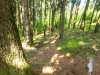 Trail-032