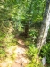 Trail-034