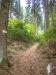 Trail-044