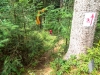 Wichteltrail-063