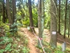 Wichteltrail-064