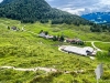 Walleralm012
