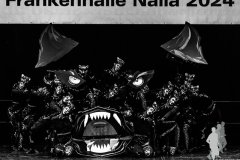 2024-01-14 - Effects Naila