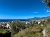 Bordighera001d