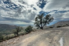 2025-08-29 - Biken El Port de da Selva