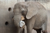 Erfurt Zoo-081