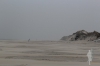 Borkum -31