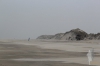 Borkum -36
