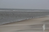 Borkum -47