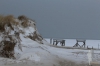 Borkum -51